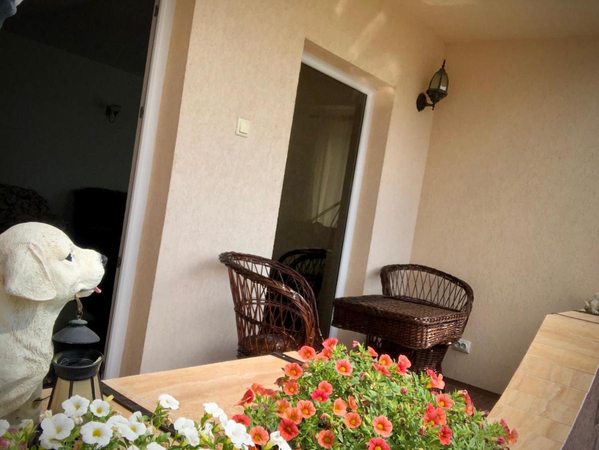 Casa Paunescu Milostea Exteriör bild